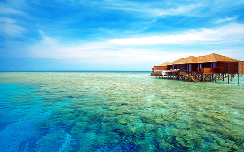 Малдивите Ari Atoll Tropics Sea Beach Resort Lily Wooden Bungalow Houses in Water Wallpaper Hd 1920 × 1200, HD тапет HD wallpaper
