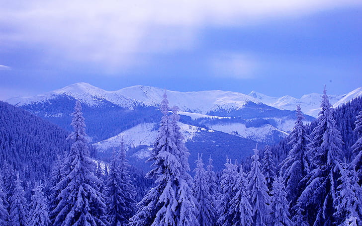 Kalter Winter, Himmel, Wolken, Berge, Bäume, Fichte, dicker Schnee, Kälte, Winter, Himmel, Wolken, Berge, Bäume, Fichte, Dick, Schnee, HD-Hintergrundbild