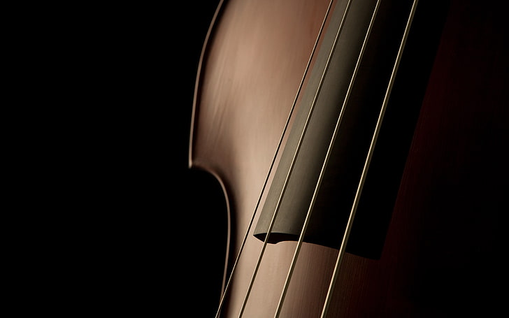brown violin, violin, shape, strings, elegant, refined, HD wallpaper