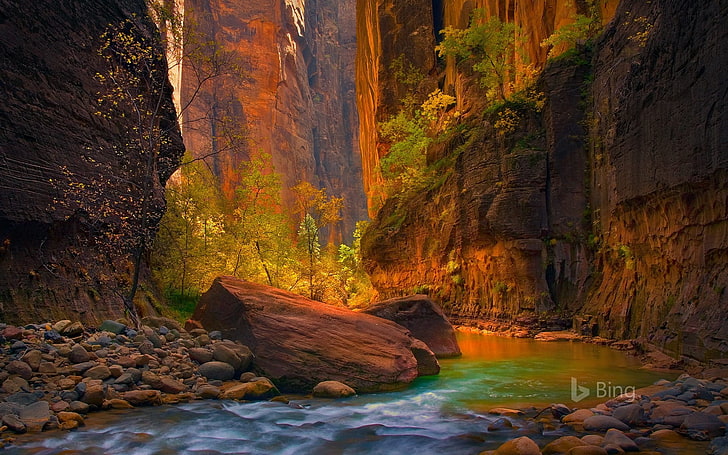 Utah o rio virgem em zion national park-2017 b .., HD papel de parede