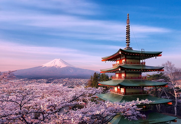 Вулканы, Гора Фудзи, Земля, Цветок, Япония, Свет, Пагода, Розовый, Сакура, HD обои