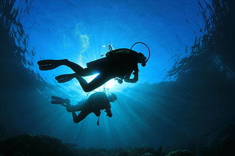 Sport, immersioni, immersioni subacquee, Sfondo HD HD wallpaper