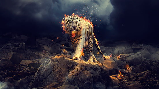 tiger, fire, art, digital art, darkness, artwork, white tiger, fantasy art, rock, flame, HD wallpaper HD wallpaper