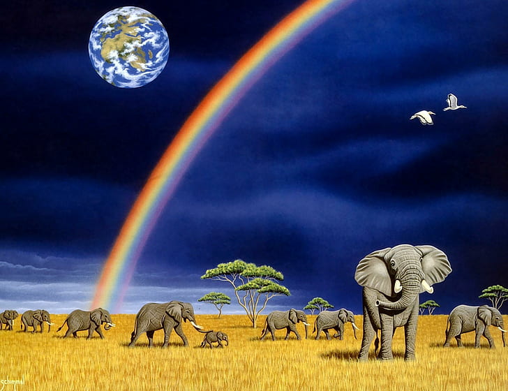 Family Of Elephants, wlwphant, wild, family, rainbow, animal, animals, HD wallpaper