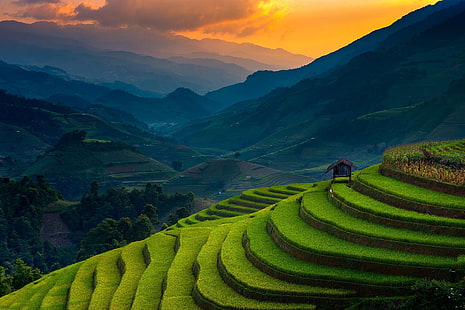 field, Green, Hut, landscape, mist, mountain, nature, Rice Paddy, sunlight, sunset, Terraces, Trees, Vietnam, x px, HD wallpaper HD wallpaper