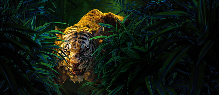 книга джунглей 4k фоновое изображение, HD обои HD wallpaper