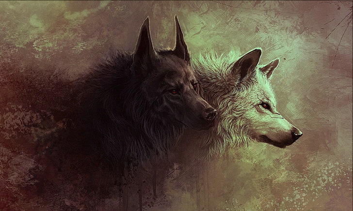 Black Wolf Wallpapers  HD Background Images  Photos  Pictures  YL  Computing