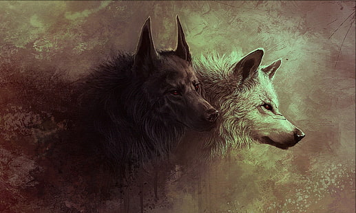 papel de parede lobos, lobo, branco, preto, animais, arte da fantasia, HD papel de parede HD wallpaper