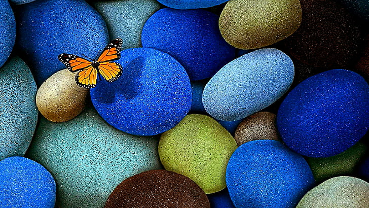 kupu-kupu, batu, kerikil, Wallpaper HD