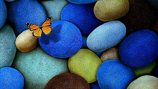 butterfly, stones, gravel, HD wallpaper HD wallpaper