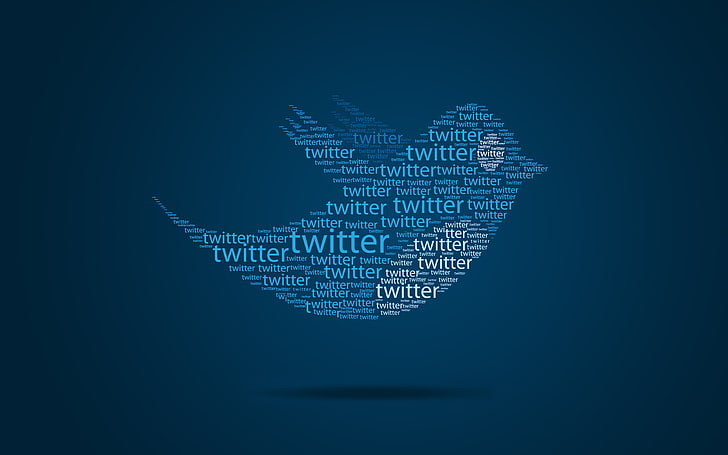 Twitter Bird Typo, blue Twitter logo, Computers, Others, bird, twitter, HD wallpaper