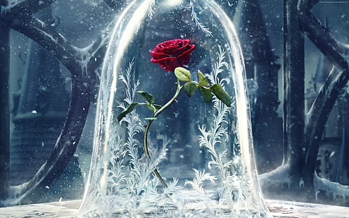 Beauty and the Beast, glass, rose, film terbaik, Wallpaper HD HD wallpaper