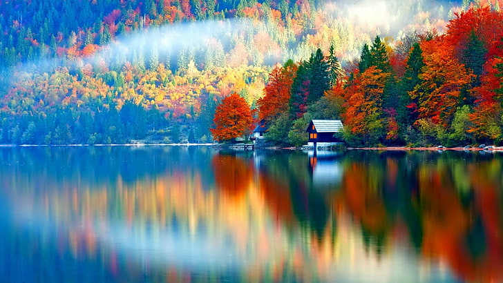 maison et plan d'eau, nature, paysage, arbres, forêt, automne, coloré, eau, lac, Slovénie, brouillard, maison, réflexion, Fond d'écran HD