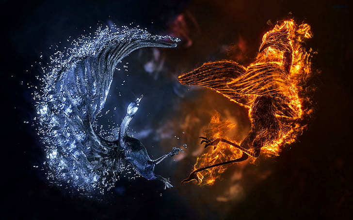 Feuern Sie Eis-Vogel-, Feuer- und Eisphoenix-Tapete, Feuer, Vögel, 3d ab, HD-Hintergrundbild