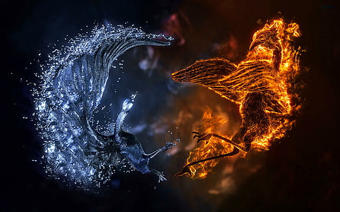 Fire Ice Birds, огонь и ледяной феникс обои, огонь, птицы, 3d, HD обои HD wallpaper