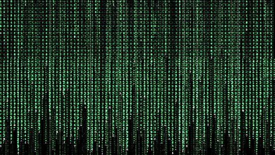 녹색과 검은 색 벽지, 매트릭스, 코드, 디지털 아트, 영화, 컴퓨터, 일본어, 한자, HD 배경 화면 HD wallpaper