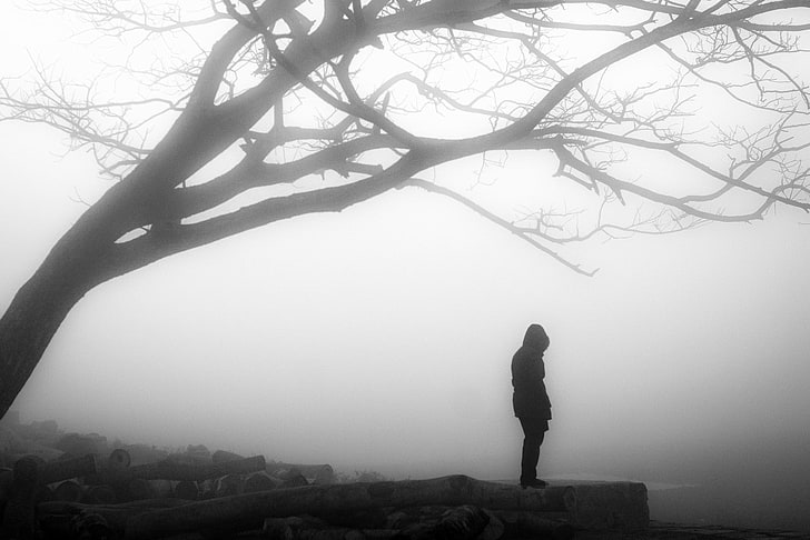 misty, tree, solitude, loneliness, branches, person, foggy, gloomy, desolation, HD wallpaper