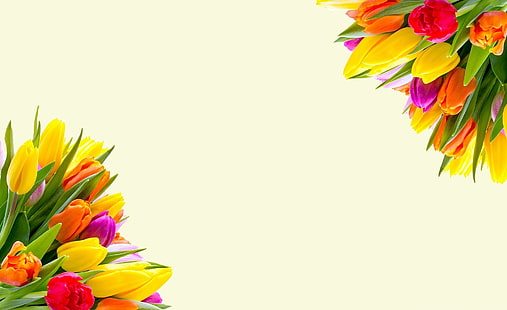 Bouquets de tulipes de printemps, deux bouquets de fleurs de tulipes multicolores, saisons, printemps, orange, coloré, tulipes, jaune, fleurs, conception, couleurs, invitation, romantique, floraison, Bloom, bouquet, carte, floral, bouquet, frontière, décoratif, fleurs de printemps,modèle, fond floral, bouquet de fleurs, bouquet de fleurs, bouquet de fleurs, Fond d'écran HD HD wallpaper