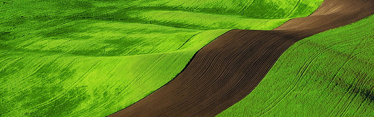 campo de hierba verde, pantalla múltiple, naturaleza, campo, paisaje, verde, marrón, Fondo de pantalla HD