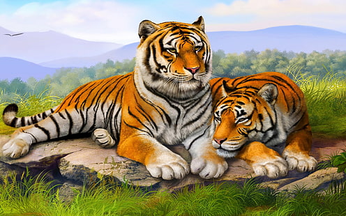 Тигровая пара обои HD 3840 × 2400, HD обои HD wallpaper