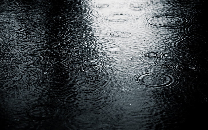 tapete preto e cinza, fotografia, natureza, água, chuva, gotas de água, ondulações, HD papel de parede