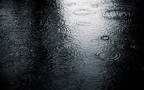 tapete preto e cinza, fotografia, natureza, água, chuva, gotas de água, ondulações, HD papel de parede HD wallpaper