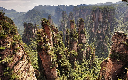 formaciones rocosas marrones, paisaje, montañas, China, árboles, naturaleza, rocas, Parque Nacional Zhangjiajie, Fondo de pantalla HD HD wallpaper