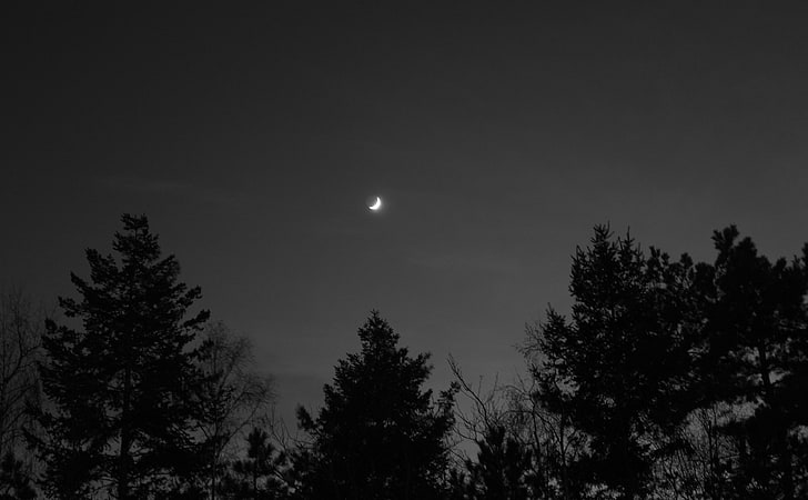 Luna, falce di luna, bianco e nero, Sfondo HD