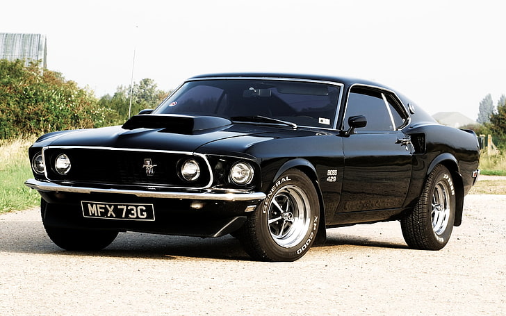 schwarzer Ford Mustang Fastback, der Himmel, schwarzer Mustang, Ford, 1969, die Büsche, die Front, Boss, Muscle Car, 429, HD-Hintergrundbild