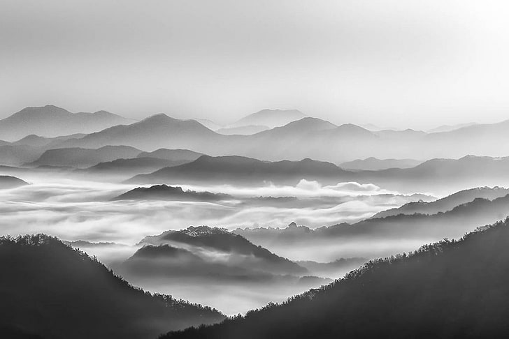 grayscale photo, photography, landscape, nature, morning, sunlight, mist, mountains, forest, monochrome, HD wallpaper