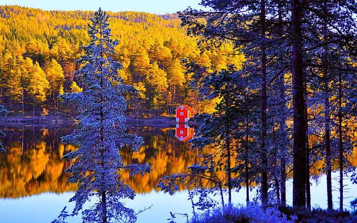 House At Autumn River, riflessione, aghi di pino, Norvegia, alberi, foresta, spiaggia, casa, barca, fiume, autunno, natura e paesaggio, Sfondo HD
