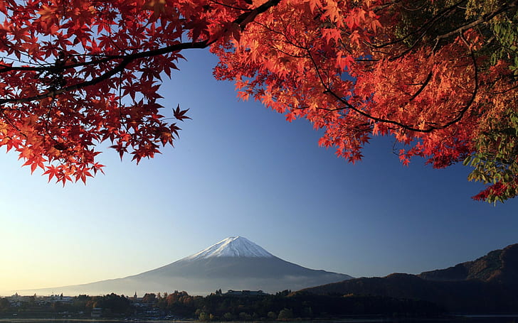 вулкан, осень, гора Фудзи, листья, горы, Япония, HD обои