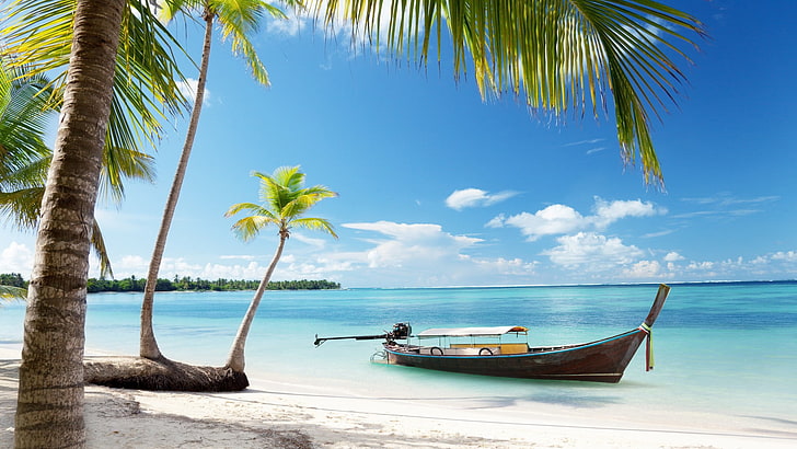 brązowa łódź w pobliżu linii brzegowej, krajobraz, palmy, morze, plaża, Tapety HD