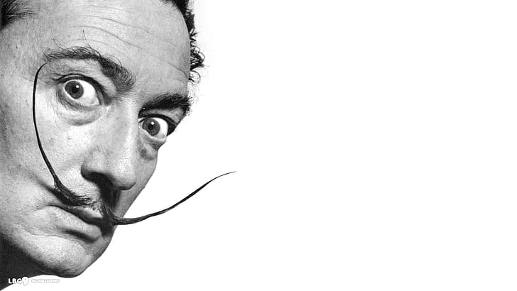 Salvador Dalí, hombres, pintores, monocromo, bigote, Fondo de pantalla HD