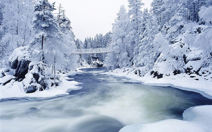 снег, лес, река, природа, зима, мост, HD обои