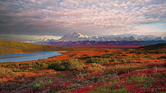 風景デナリ国立公園アラスカのデスクトップの壁紙Hd解像度2560×1440、 HDデスクトップの壁紙 HD wallpaper