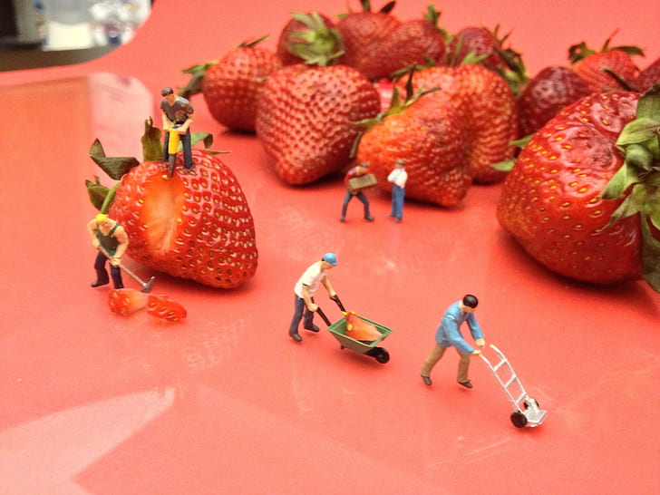 figurines de travailleur près de fraises, Berry, Travail acharné, Installation, ouvrier, figurines, fraises, cc, JD, Hancock, rose, 5k, image, photo, image, fruit, nourriture, rouge, fraîcheur, fraise, Fond d'écran HD