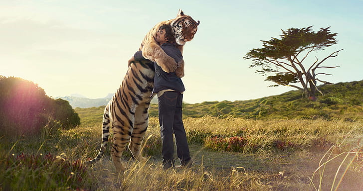 field, Friend, hug, man, Meeting, Print, Tiger, tree, HD wallpaper