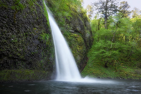 waterfalls near trees, columbia river gorge national scenic area, columbia river, oregon, columbia river gorge national scenic area, columbia river, oregon, Horsetail Falls, Columbia River Gorge National Scenic Area, Oregon, waterfalls, trees, Columbia River Gorge, National S, Highway 30, long exposure, Pacific Northwest, Route 30, waterfall, nature, river, stream, forest, water, scenics, tree, outdoors, landscape, HD wallpaper HD wallpaper