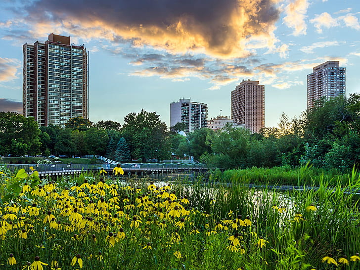 Città, grattacieli, fiori, alberi, Lincoln Park, Chicago, Illinois, USA,  Sfondo HD | Wallpaperbetter