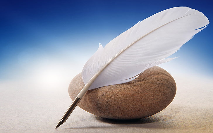 white quill, quills, feathers, stones, HD wallpaper