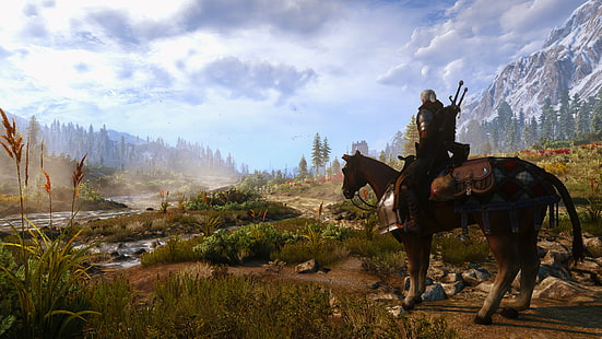 The Witcher 3: Wild Hunt, Ard Skellige, The Witcher, HD wallpaper HD wallpaper