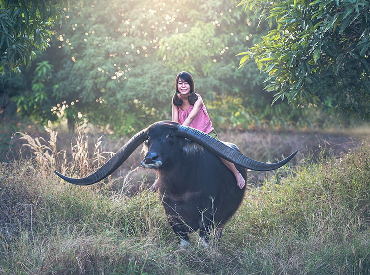 Girl riding a Longhorn Buffalo, Asia, Thailand, Travel, Smile, Nature, Girl, People, Happy, Grass, Tropical, Young, Photography, Animal, Outdoor, Country, happiness, Buffalo, Vacation, culture, horns, visit, mammal, tourism, Grasslands, Asian buffalo, Water buffalo, contryside, transporting, longhorn buffalo, HD wallpaper