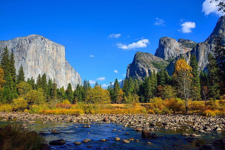 manzana, Yosemite, 4k, 8k, bosque, montañas, 5k, OSX, Fondo de pantalla HD