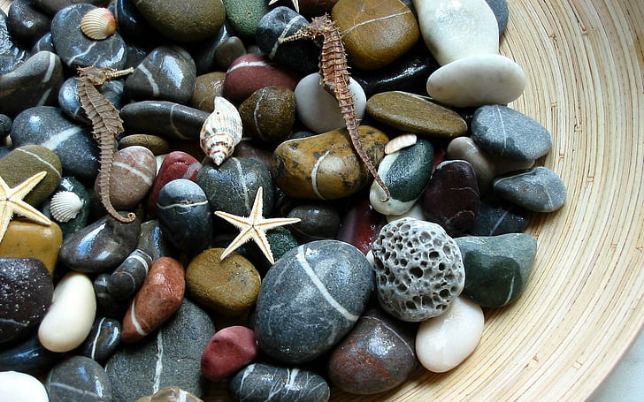 Galets, pierres, étoiles de mer, pierres de mer, galets, 3d et abstrait, Fond d'écran HD