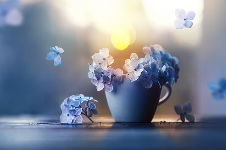 white ceramic mug, flowers, petals, Cup, hydrangea, Ashraful Arefin, HD wallpaper