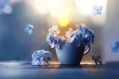 white ceramic mug, flowers, petals, Cup, hydrangea, Ashraful Arefin, HD wallpaper HD wallpaper
