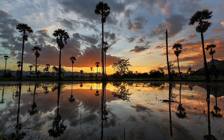 palmiers reflétant sur une étendue d'eau calme au coucher du soleil, palmiers, reflet, paysage, eau, montagnes, coucher de soleil, Fond d'écran HD