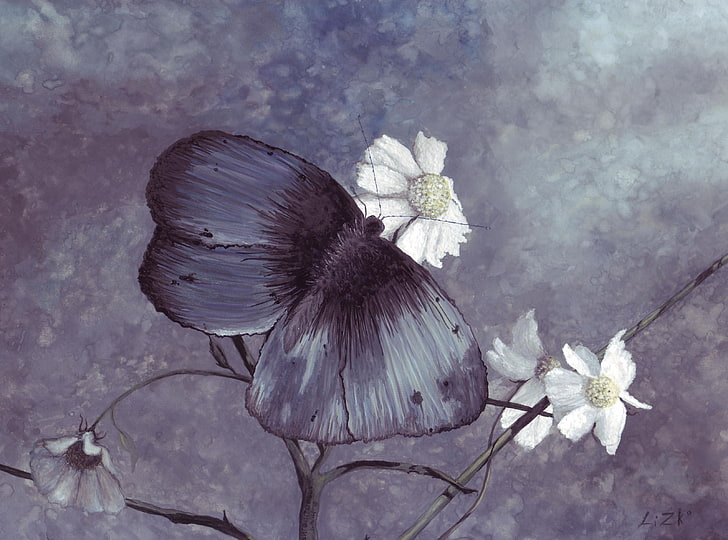 Mariposa pintura, mariposa negra sobre pintura de flores blancas,  artística, Fondo de pantalla HD | Wallpaperbetter