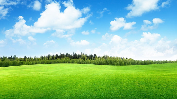 pradera, cielo, campo, prado, hierba, durante el día, nube, césped, llanura, club de golf, Fondo de pantalla HD